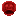 恐惧瘟疫