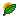 光合作用